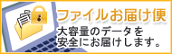 �t�@�C�����͂���-�e�ʂ̑傫���f�[�^�t�@�C�������S�ɂ��͂��������܂��B