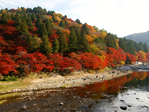 香嵐渓 愛知県豊田市足助町宮平34-1 香嵐渓 愛知県豊田市足助町宮平34-1