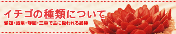 イチゴの品種・イチゴのブランドについて