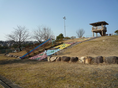 P1000139
