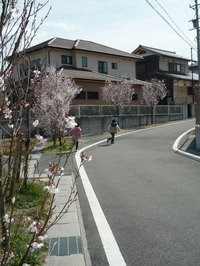 P1000341