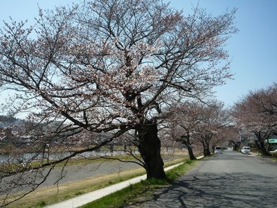 P1000385
