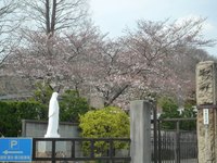 P1000505