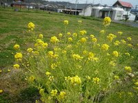 P1000502