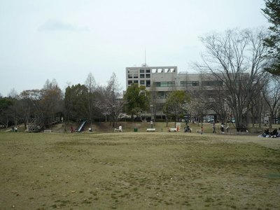 P1000481