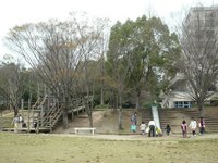 P1000482