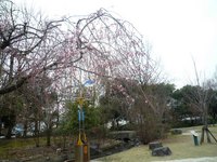 P1000485