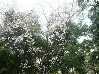 P1000487