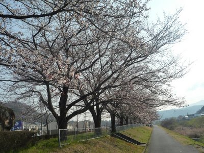 P1000521