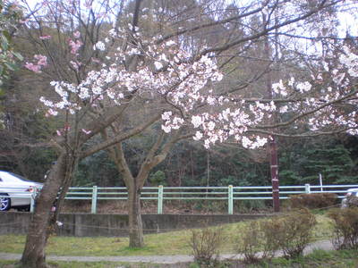 定光寺 (4)