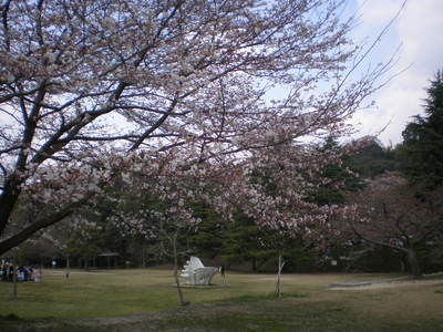 定光寺 (7)