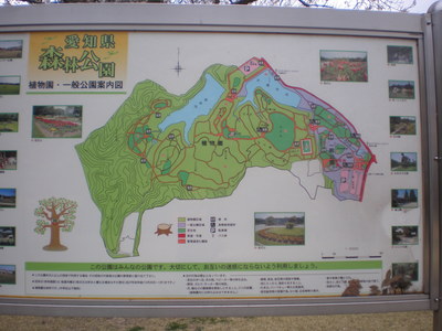 森林公園