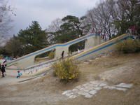 森林公園 (3)