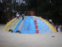 森林公園 (4)