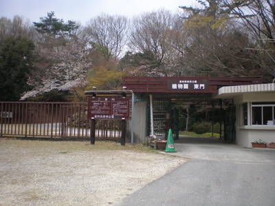 森林公園 (5)