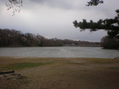 森林公園 (6)