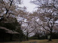 森林公園 (14)