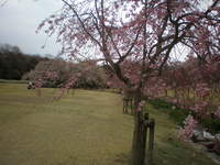 森林公園 (7)