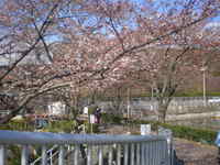 東谷山 (4)