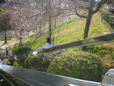 東谷山 (7)