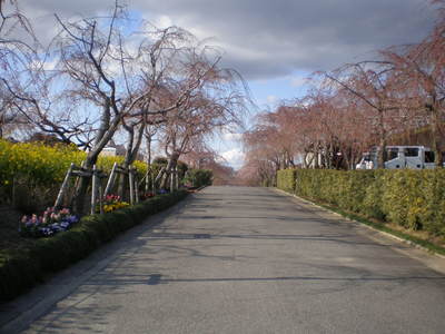 東谷山 (9)
