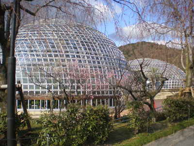 東谷山 (10)