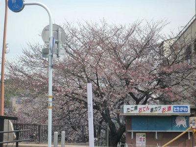 P1000555