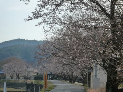 P1000547