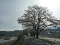 P1000544