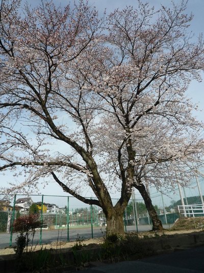 P1000539
