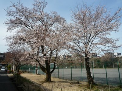 P1000541