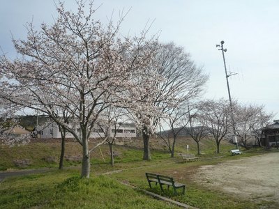 P1000556