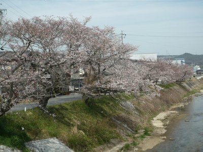 P1000575