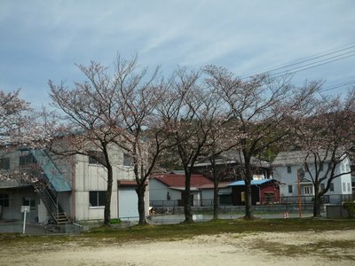 P1000582