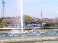 P1010446