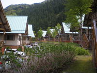 P5030760