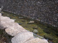 P5030750