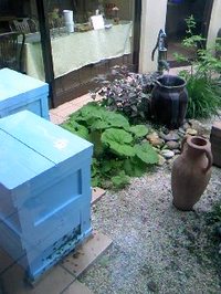 11 長坂養蜂場お店の中の巣箱