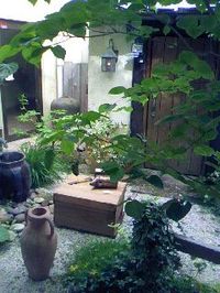 12 長坂養蜂場お店の中の巣箱 2