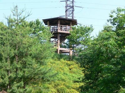 P1020408