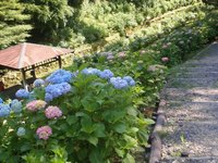 可児やすらぎの森 (18)