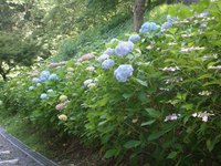 可児やすらぎの森 (20)