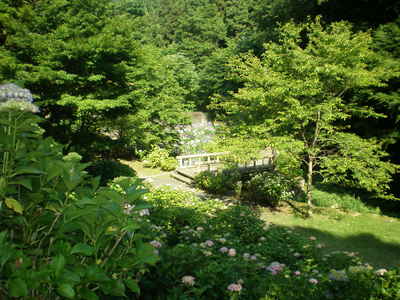可児やすらぎの森 (6)