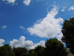 藤池公園