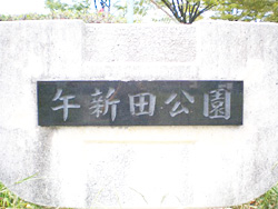 午新田公園