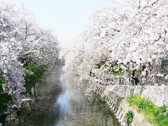 五条川