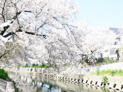 五条川