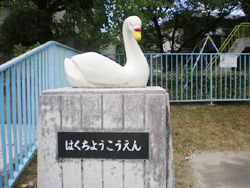 はくちょうこうえん