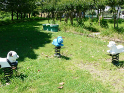 日ノ出公園