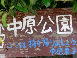 中原公園